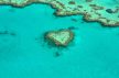 Rise of the robo-coral: 3D printing in conservation